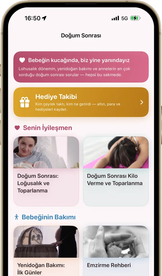 Momly doğum sonrası ekranı: loğusalık, yenidoğan bakımı ve emzirme rehber kartları